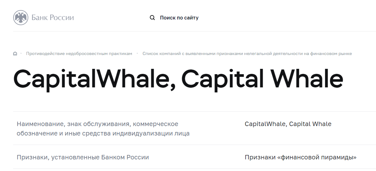 capital whale ru