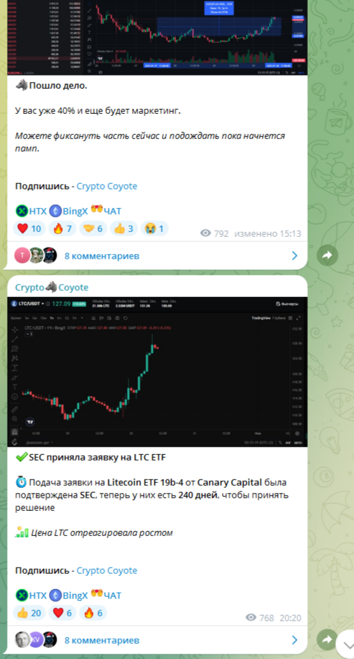 crypto coyote