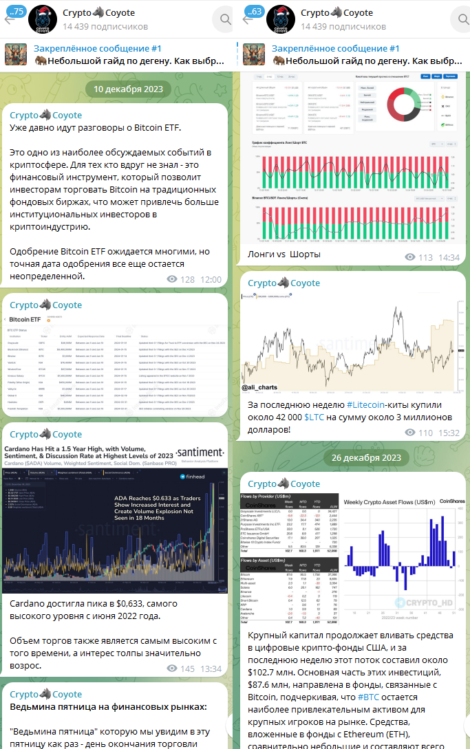 crypto coyote телеграмм