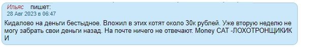  Money Cat отзывы 2