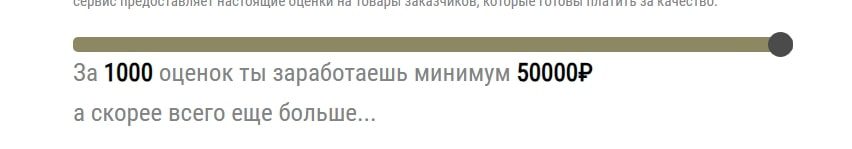 Starraider заработок