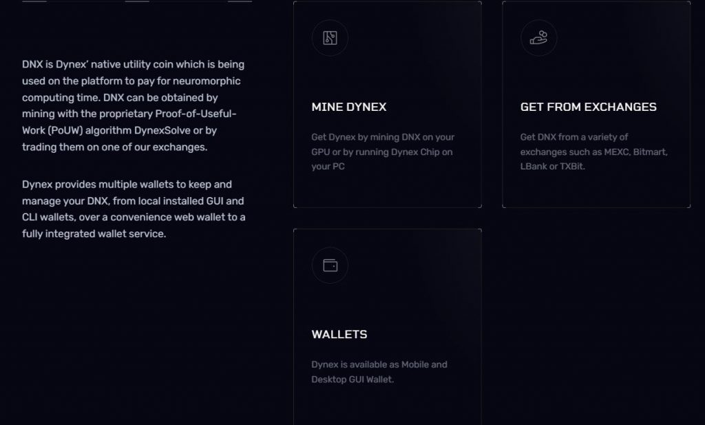 Dynex инфа