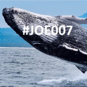 Joe007 Bitfinex Whale