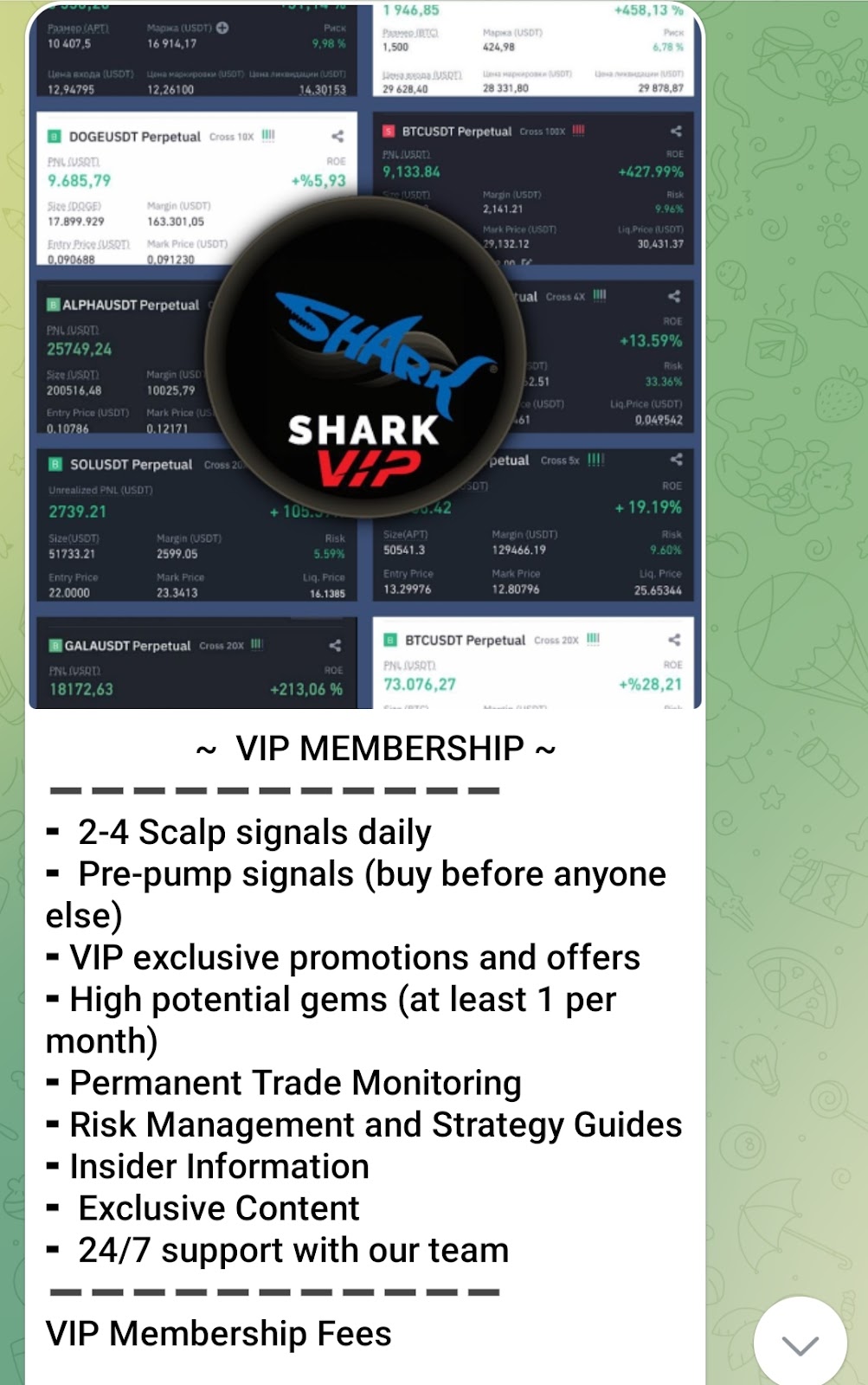 SHARK TRADING