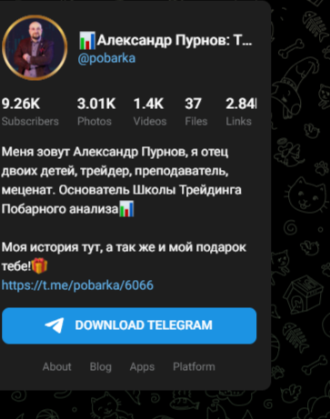 александр пурнов базовый курс vsa