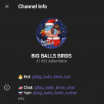 Big Balls Birds Bot