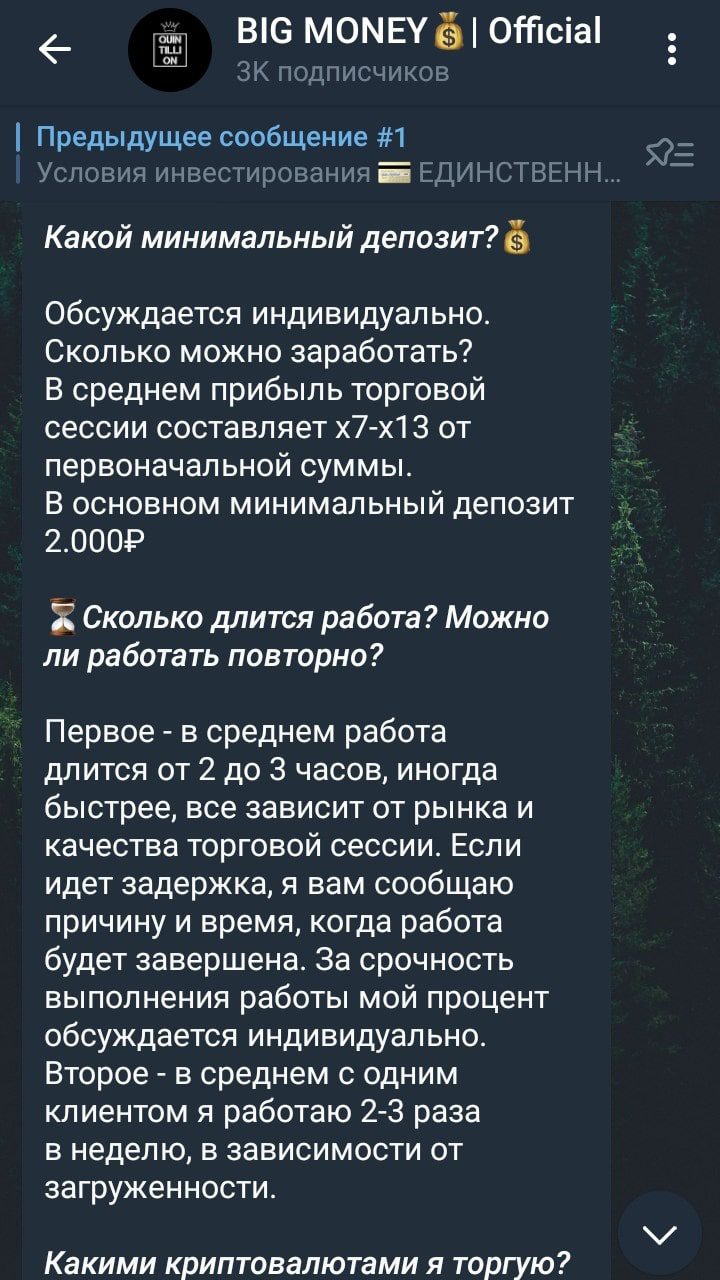BIG MONEY телеграмм