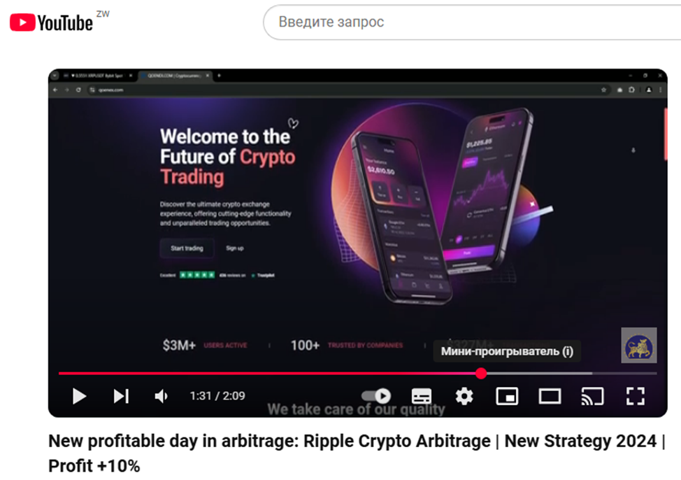 bitserg com