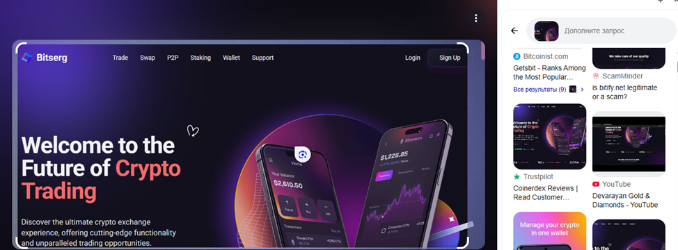 bitserg отзывы
