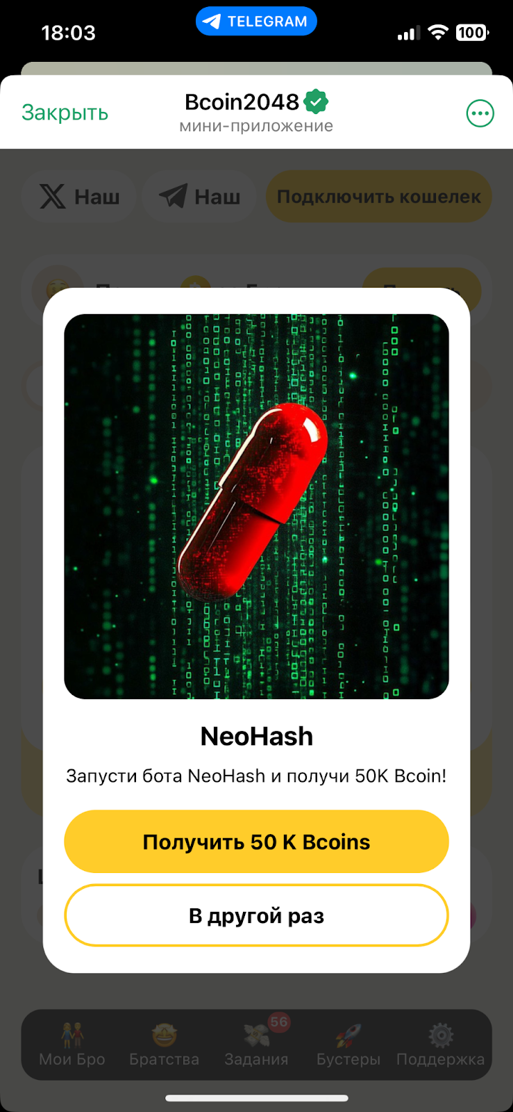 бкоин2048