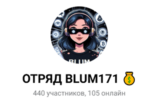 blum 171