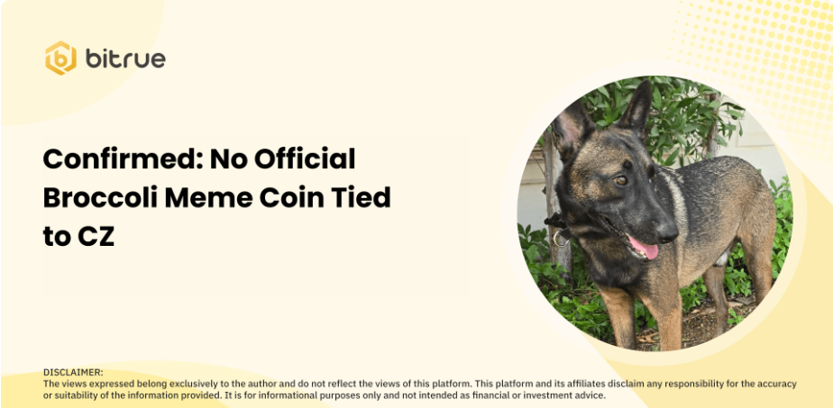 broccoli token