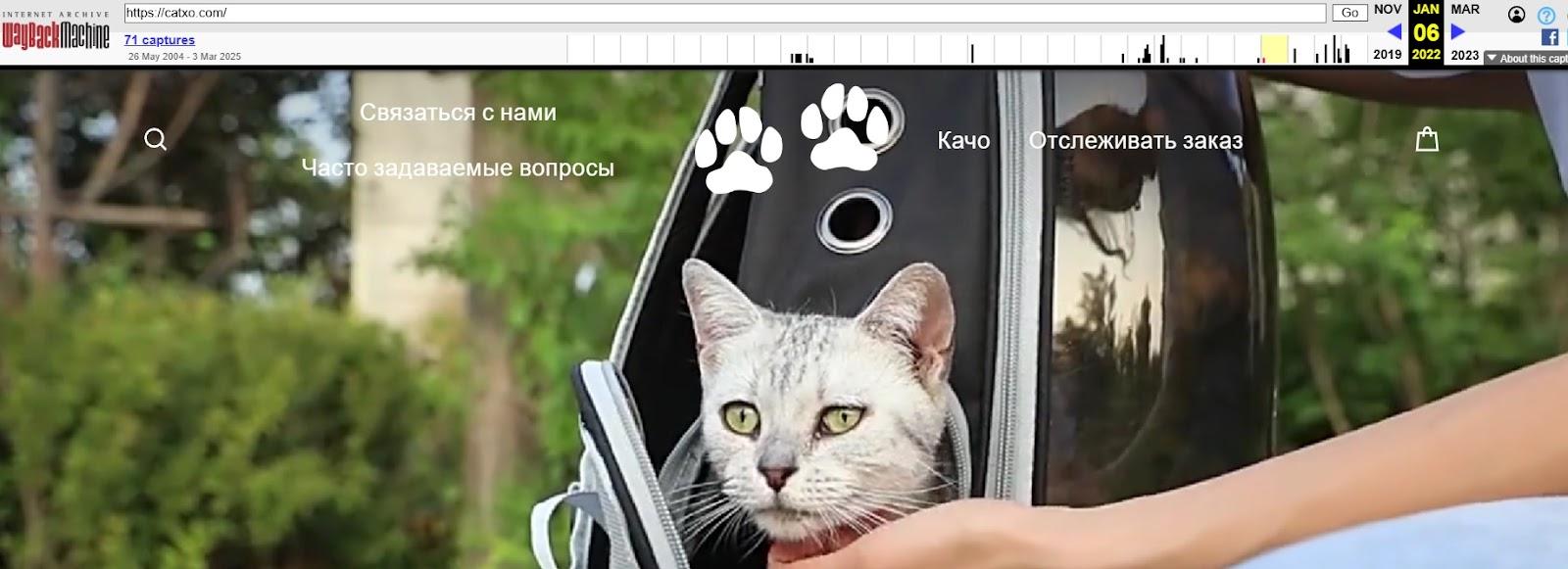 catxo отзывы