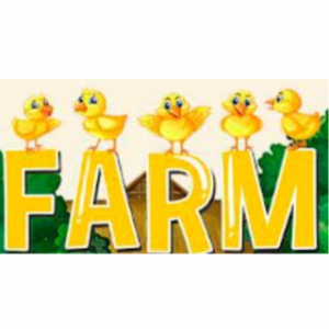 Chickens Farm