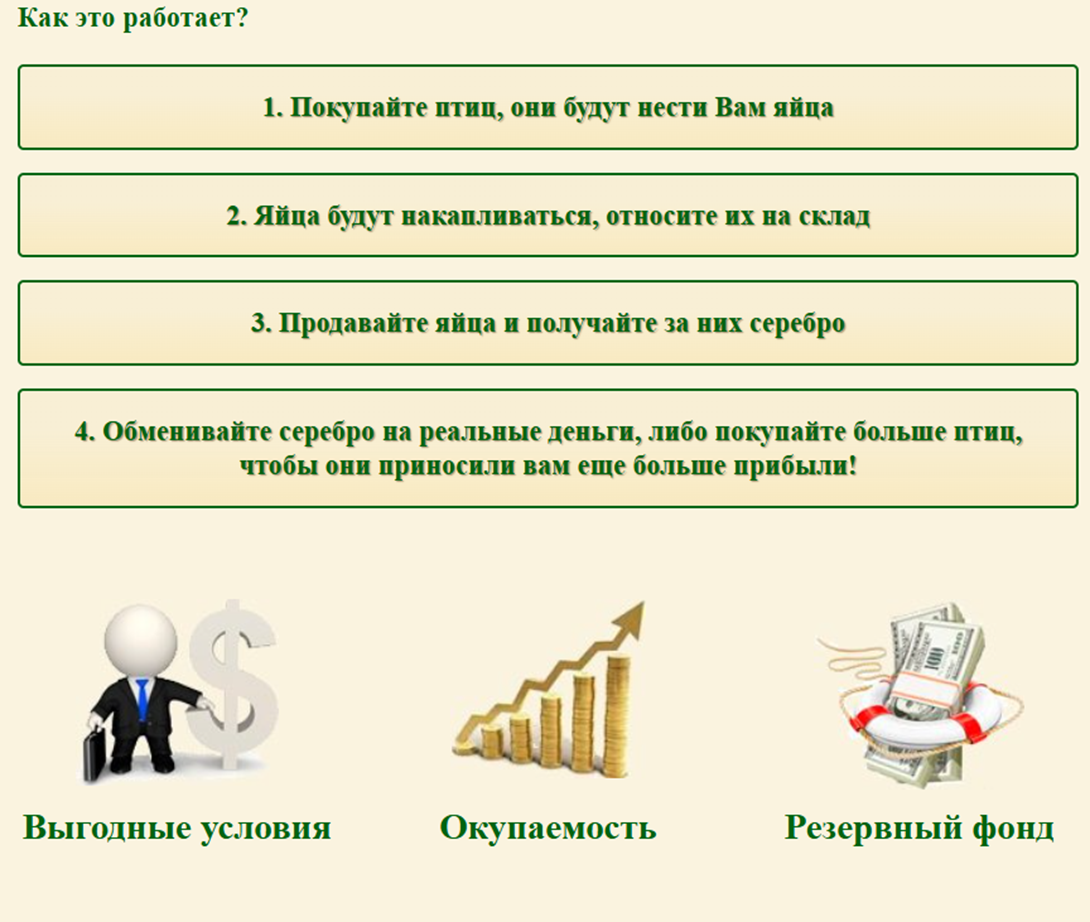 чикенс фарм