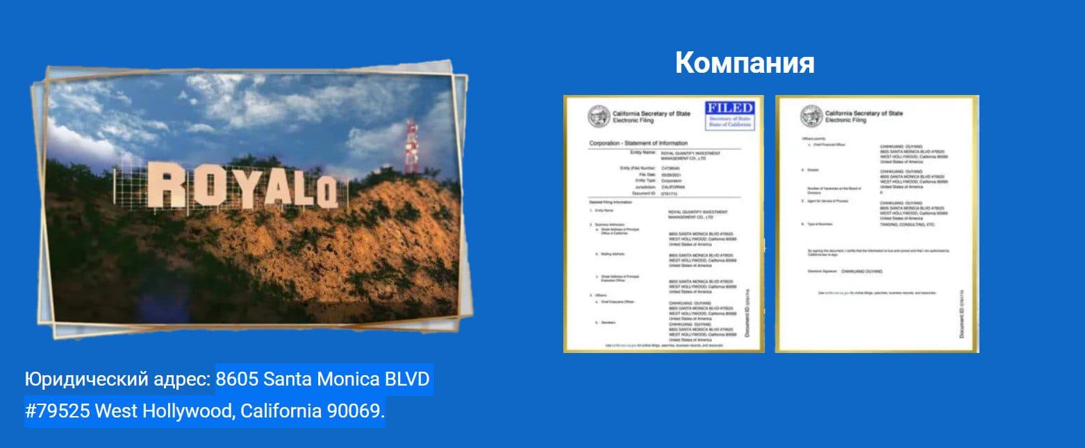 Компания роял кью робот