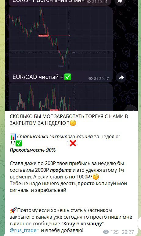 Телеграм Hotraderr обзор