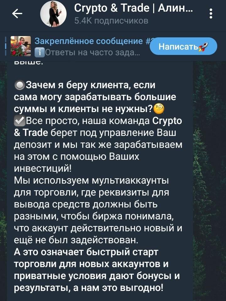 алина никитина телеграм