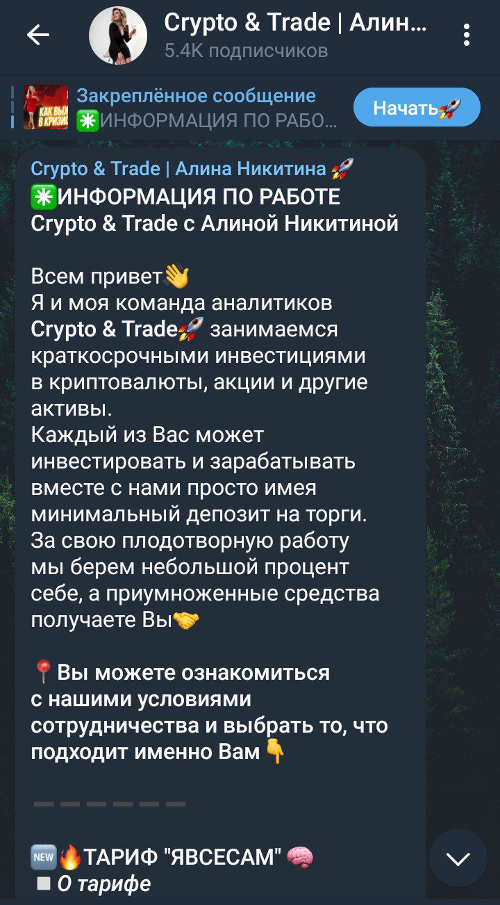 алина никитина телеграм