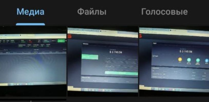 Ксения Галицина