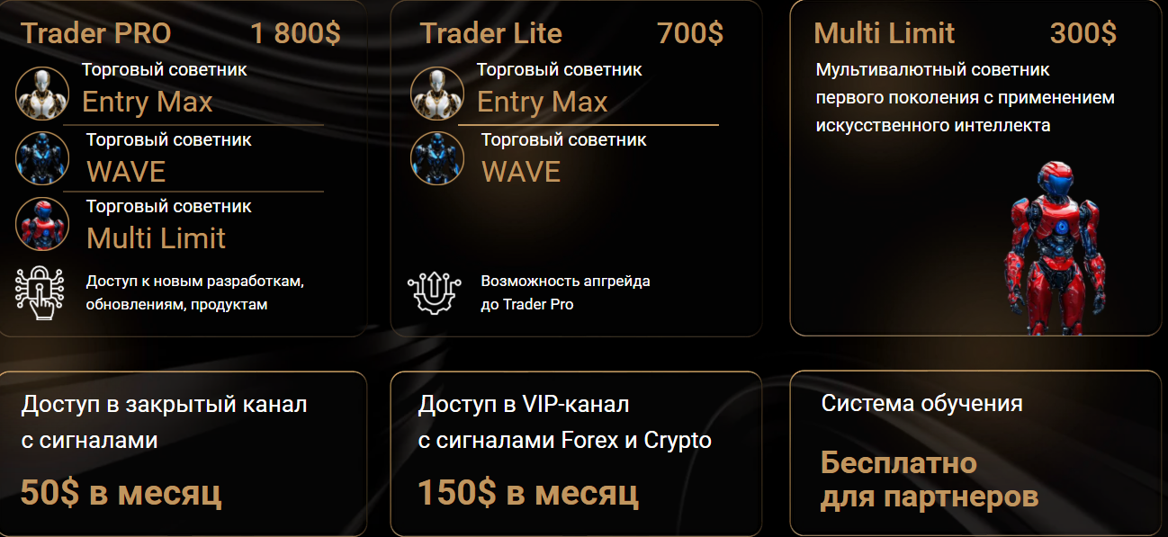level up company тюмень