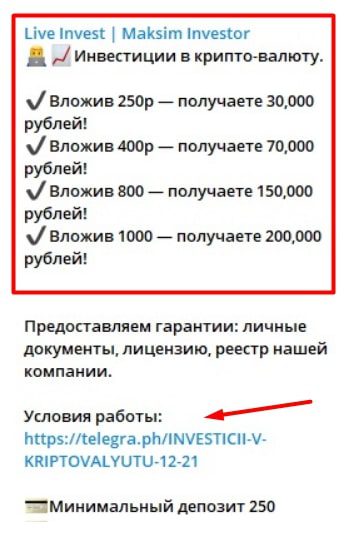 Liveinvest телеграмм