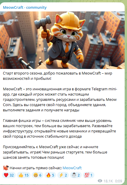meowcraft проверка