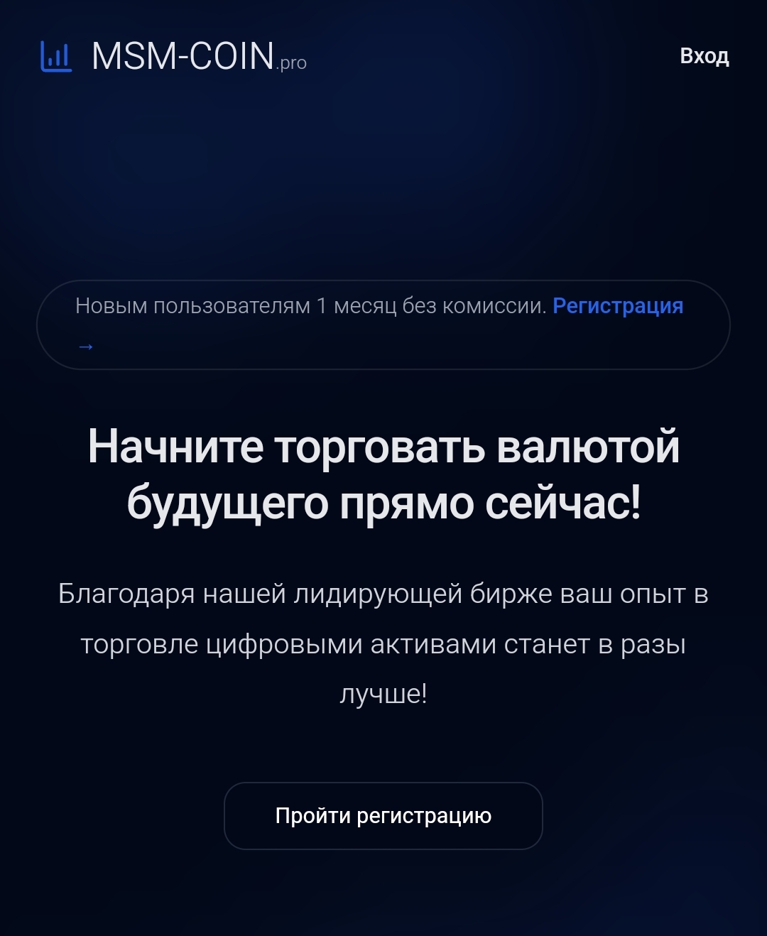 msm coin отзывы