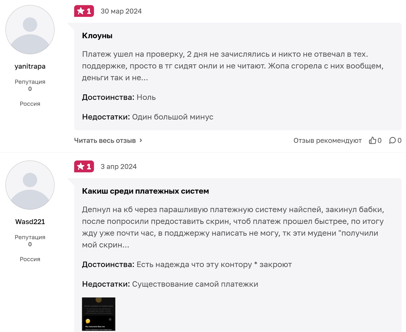 nice pay отзывы