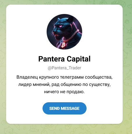 pantera capital телеграмм