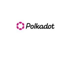 Polkadot