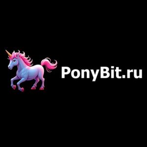 Ponybit