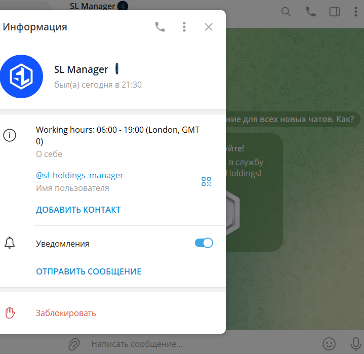 sl holdings отзывы