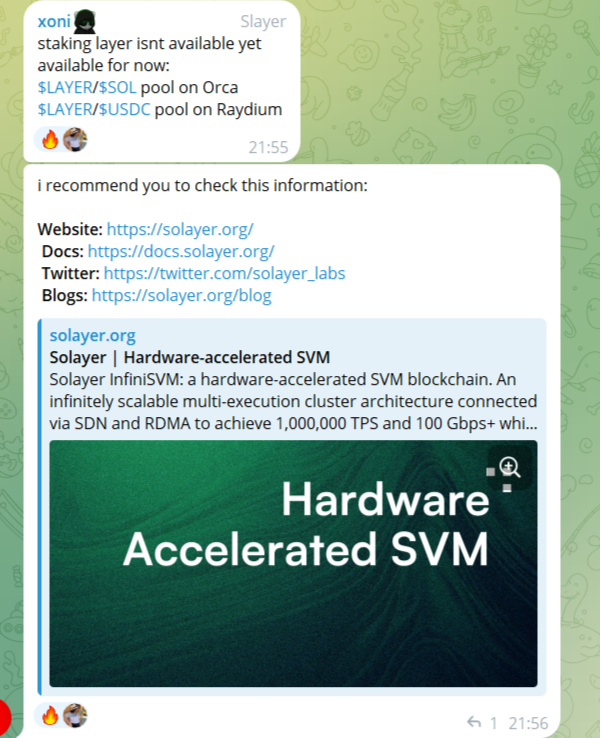 solayer layer обзор