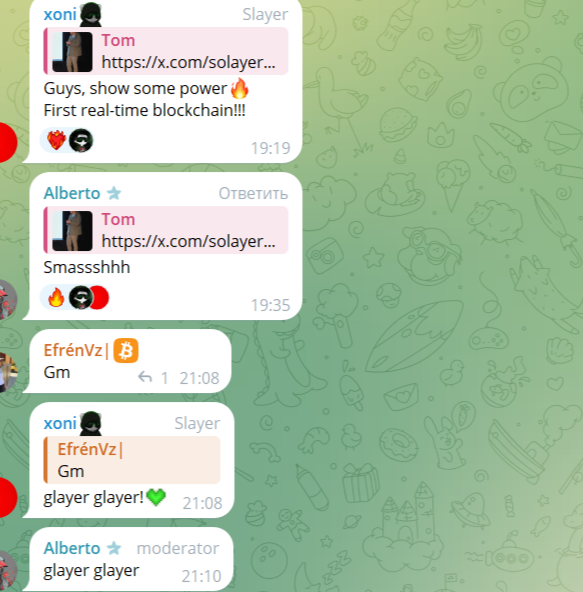 solayer official перспективы