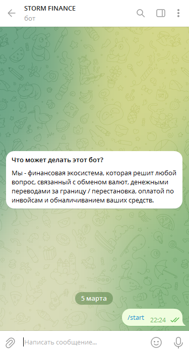 storm finance