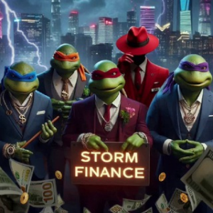 Storm Finance ⚡️переводы и Оплаты по Всему Миру