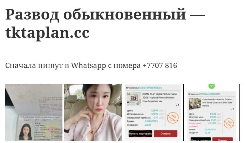 tktaplan cc