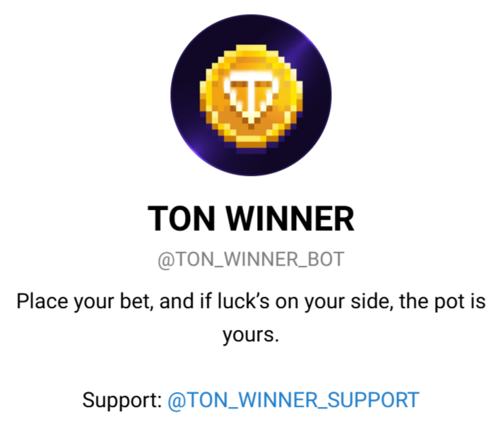 ton winner телеграм