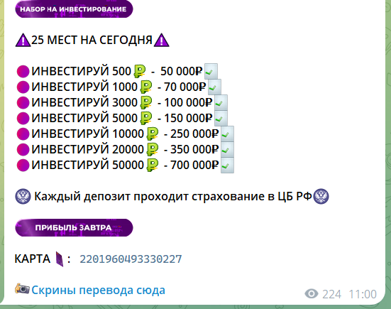 ваша лидерша вершина инвестиций отзывы