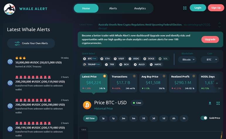 Whale Alert Api
