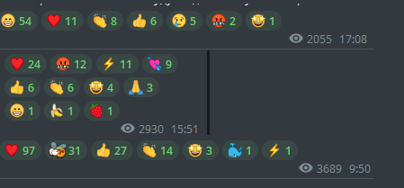 whysasha отзывы