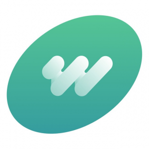 Wisy