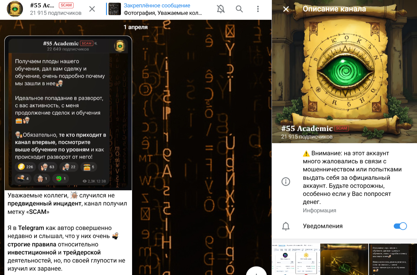 55 Academic трейдер