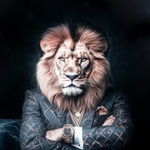 Admiralisimus Btc