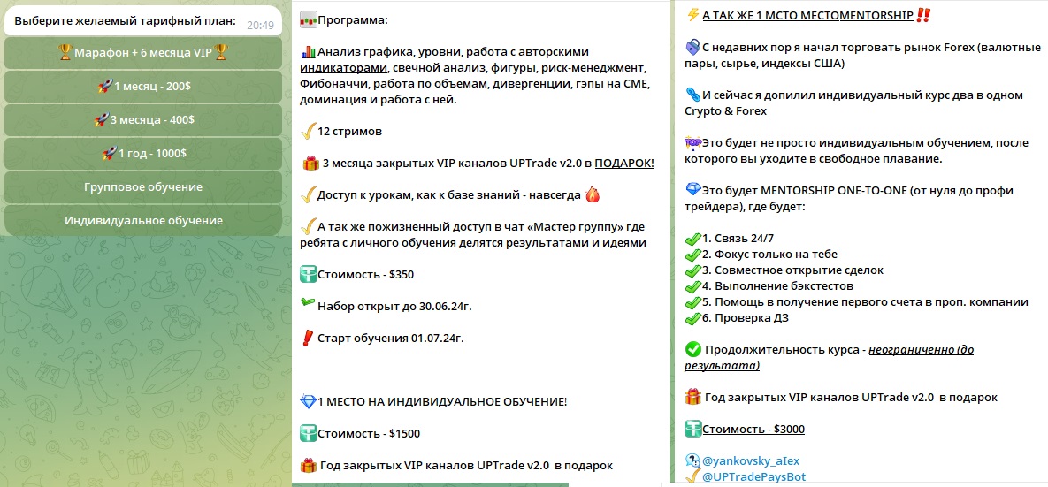 алекс янковский развод