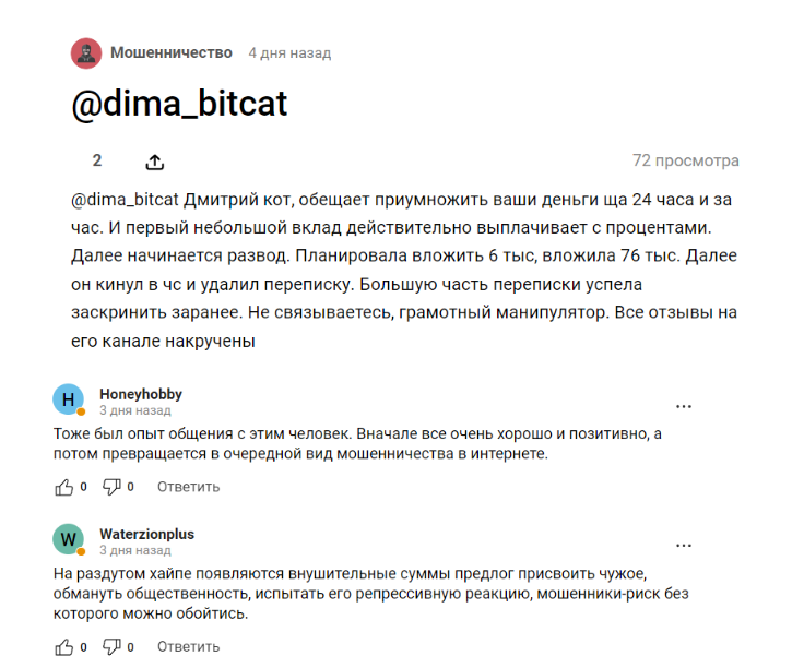 bit cat отзывы телеграмм канал