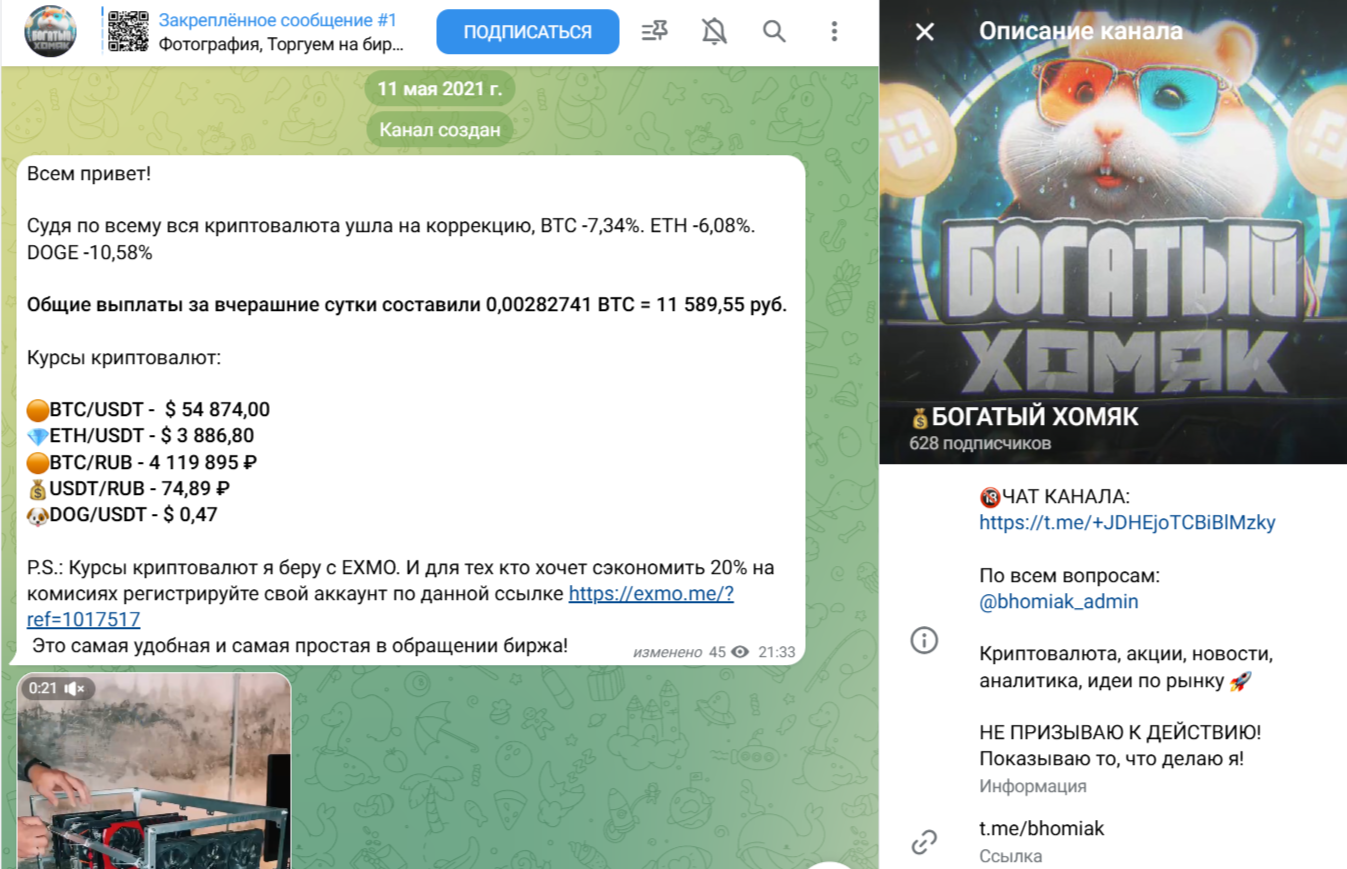 Богатый Хомяк отзывы