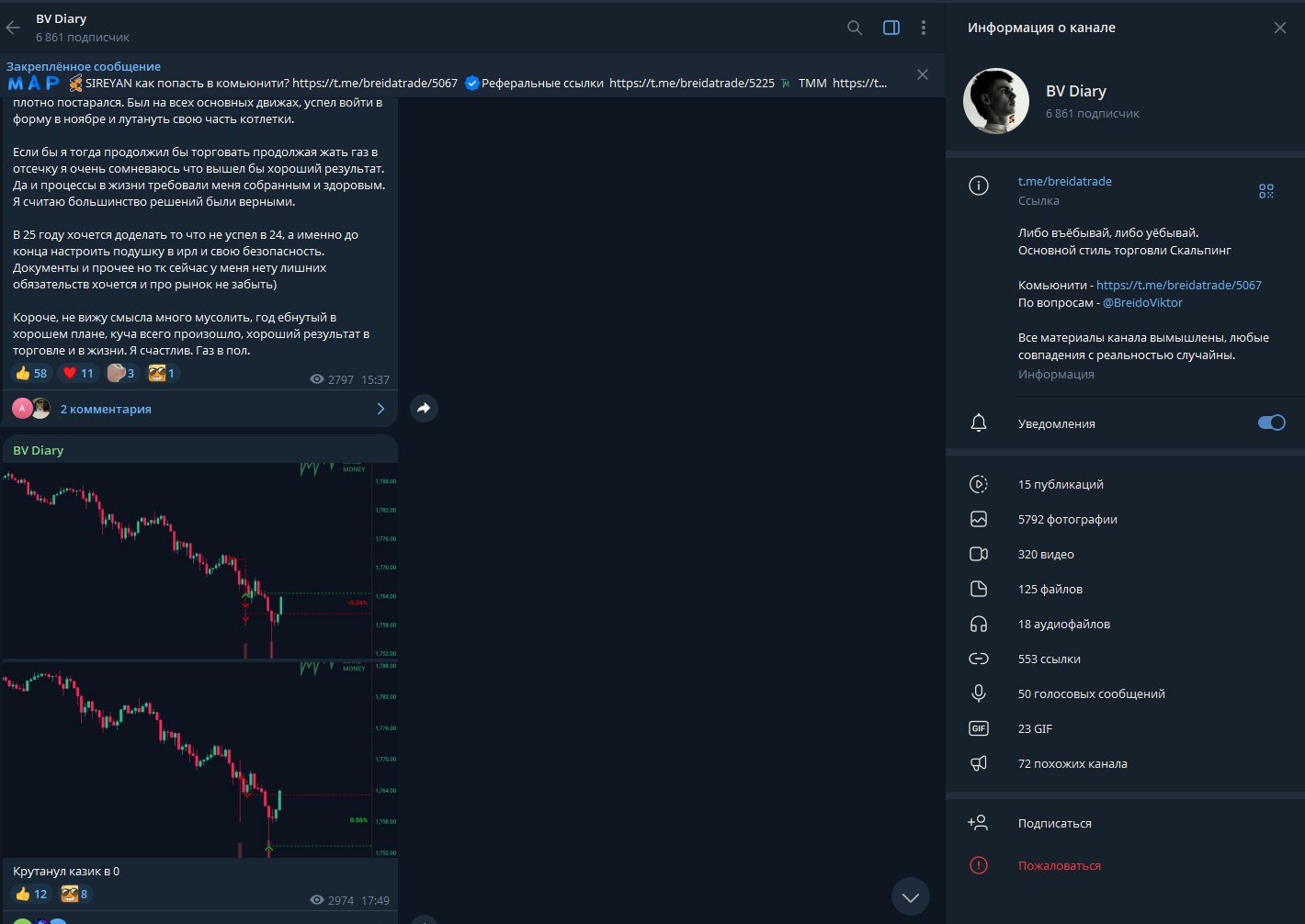 bv diary отзывы