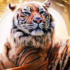 Crypro Tiger